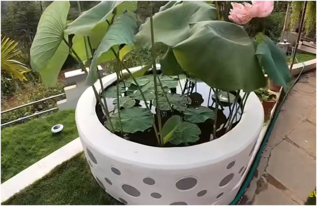 1100 Sqft Home Build For Low Budget